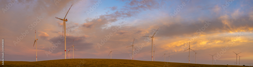 Wind turbines in golden sunset,panorama