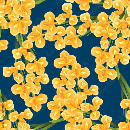 Fototapeta Naklejka Na Ścianę i Meble -  Orange Iris Flower on Navy Blue Background