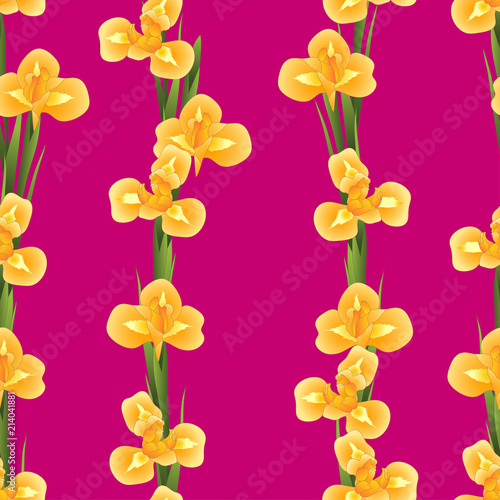 Fototapeta Naklejka Na Ścianę i Meble -  Orange Iris Flower on Pink Background
