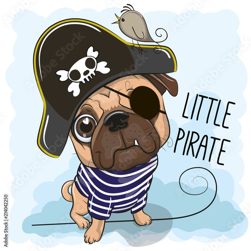 Cute Pug Dog in a pirate hat