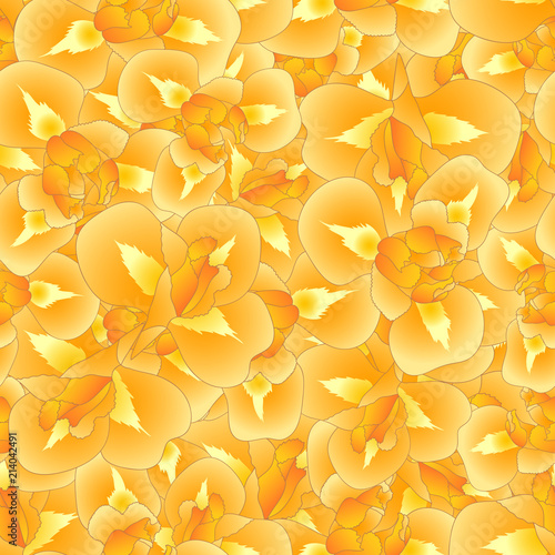 Fototapeta Naklejka Na Ścianę i Meble -  Orange Iris Flower Seamless Background