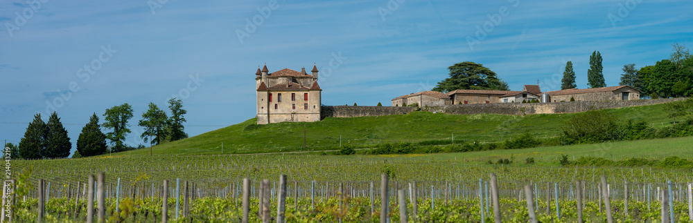 Vineyard and Chateau de Monbadon, Bordeaux Region, France