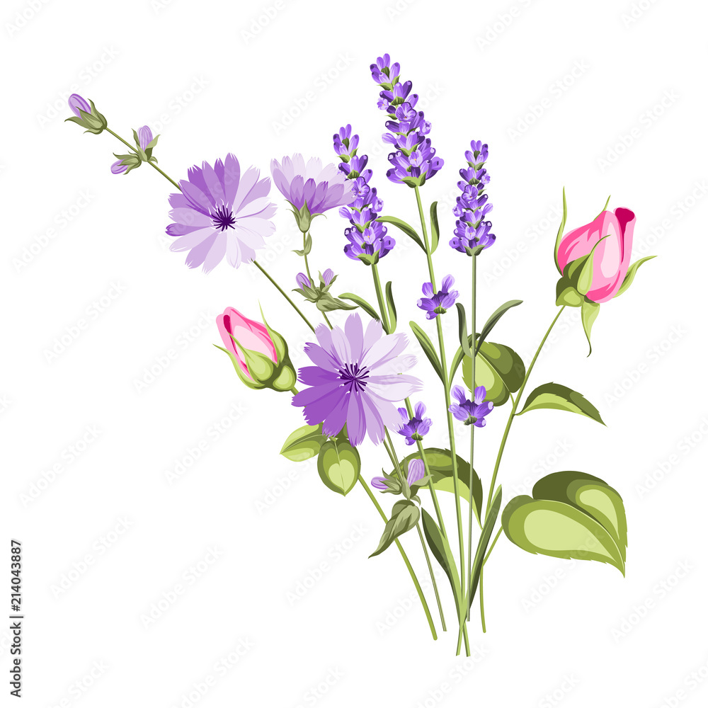 The chicory garland with rose and lavender botanical card. A summer decorative bouquet of endive and rose flowers. Small floral garland. Vector illustration.