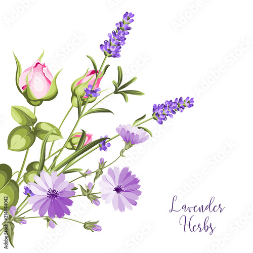 Label with lavender. Bunch of lavender flowers on a white background. Botanical illustration in vintage style with sign Lavender herbs.