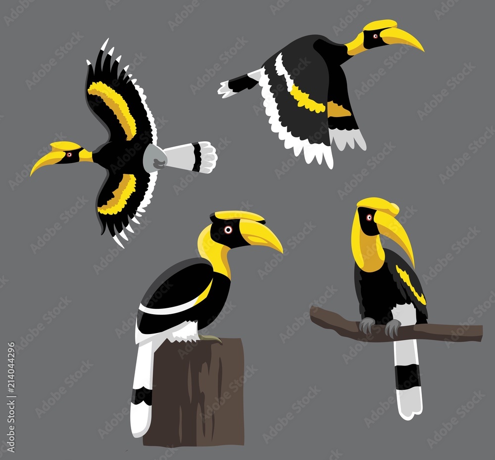 Bird Poses Great Hornbill Vector Illustration Stock Vector | Adobe Stock