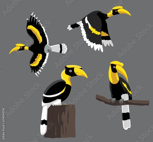 Fotografija Bird Poses Great Hornbill Vector Illustration