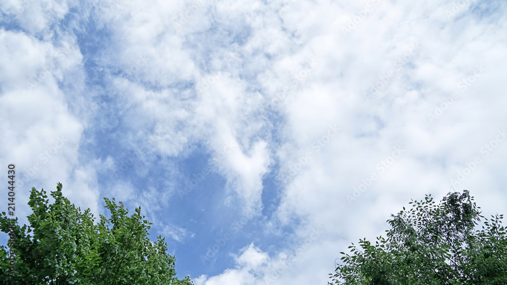 Green trees and blue sky and clouds Green trees and blue sky and clouds