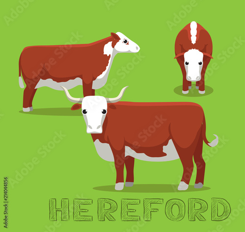 Cow Hereford Cartoon Vector Illustration