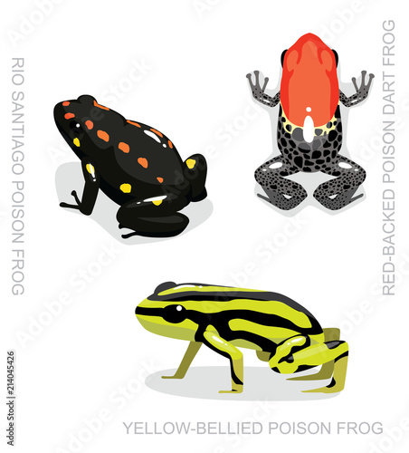 Red-Backed Poison Dart Frog Set Cartoon Vector Illustration