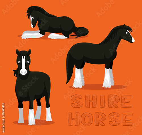 Horse Shire Cartoon Vector Illustration