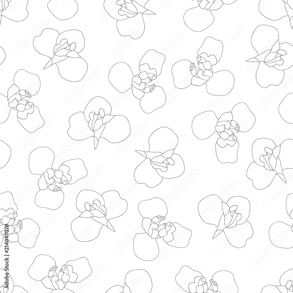 Iris Flower Outline on White Background Iris Flower Outline on White Background