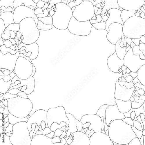 Iris Flower Outline Border on White Background.