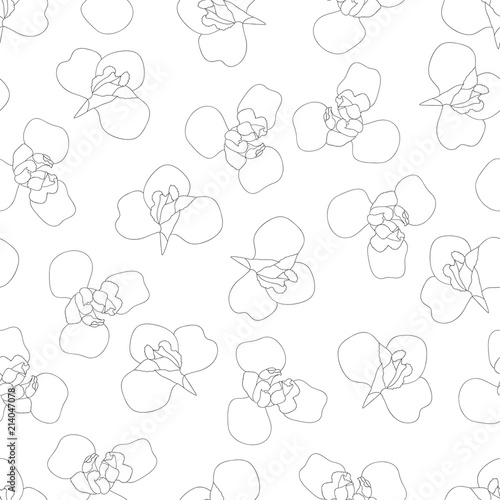 Fototapeta Naklejka Na Ścianę i Meble -  Iris Flower Outline on White Background