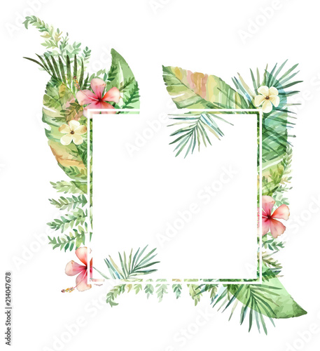 Hand drawn watercolor tropical plants.