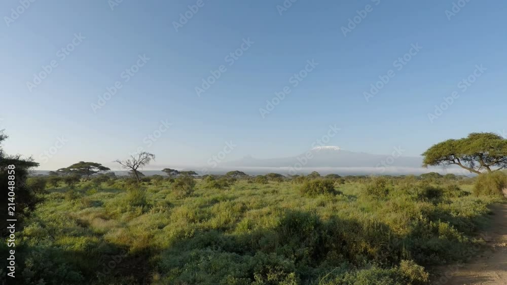 mount kilimanjaro in kenya