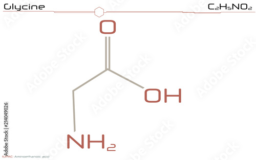 Large and detailed infographic of the molecule of Glycine