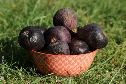 Figues rouges photo