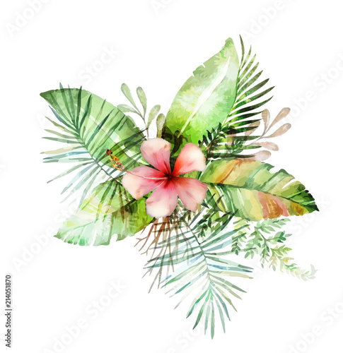 Hand drawn watercolor tropical plants.