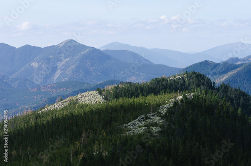 Mountain landscape with spruce forest