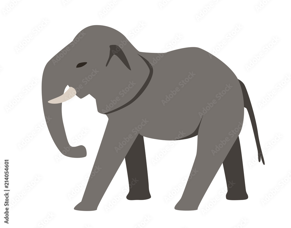 Obraz premium Gray elephant. Flat vector illustration. Isolated on white background