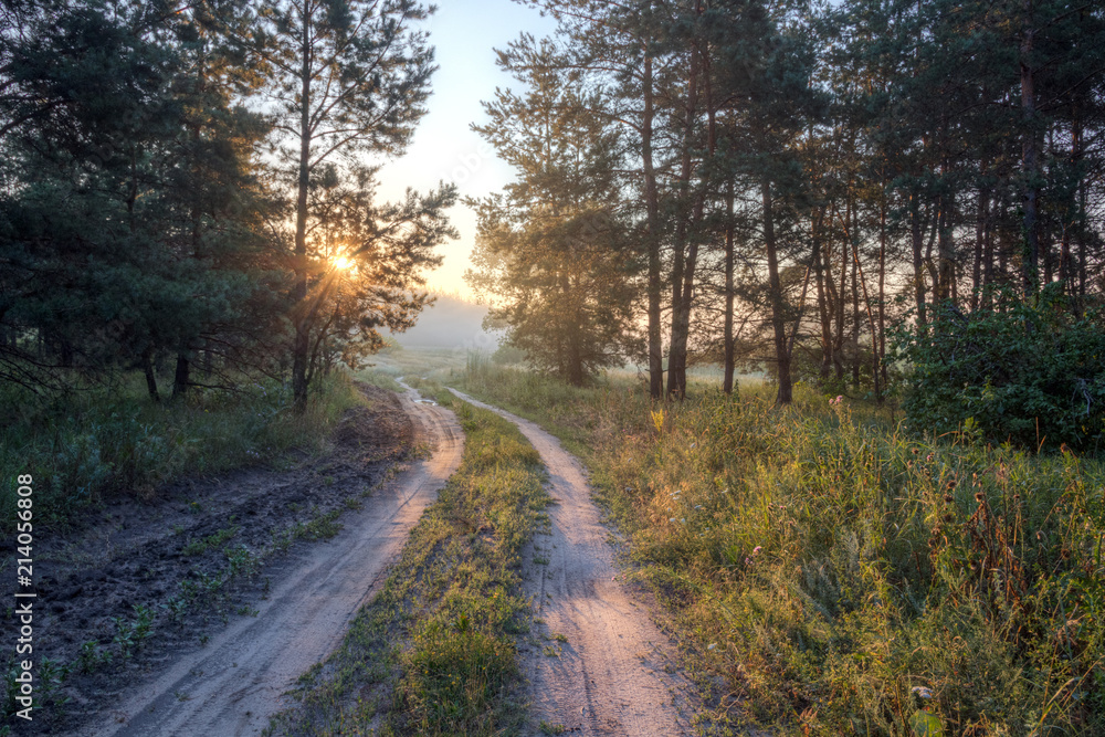 The track in the morning