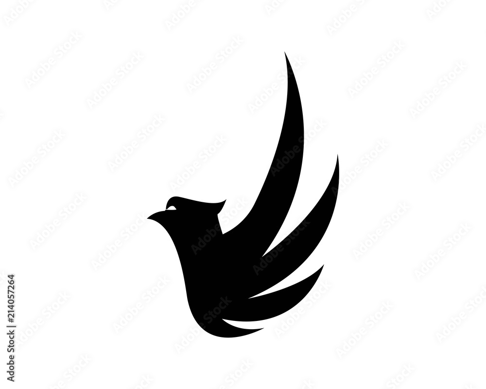 Falcon Wing Logo Falcon Wing Logo