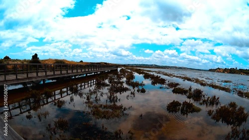 Beautiful view on a calm backwater with growing plants and wooden bridge road, Alvor, Portugal