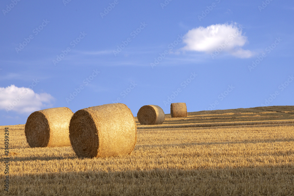 bale of straw after harvest at the field