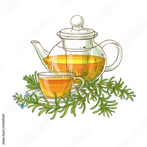 rosemary tea in teapot illustration