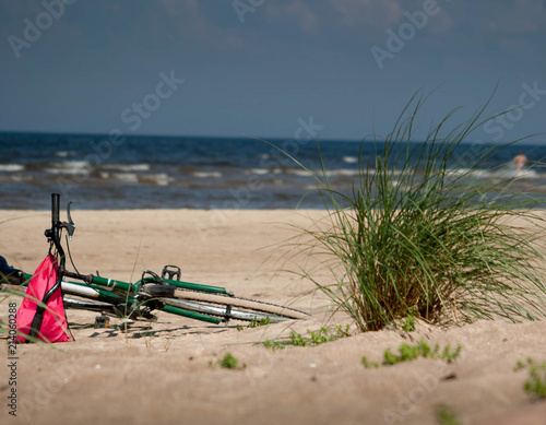 green plant and bicycle, on beach sand with sea in background