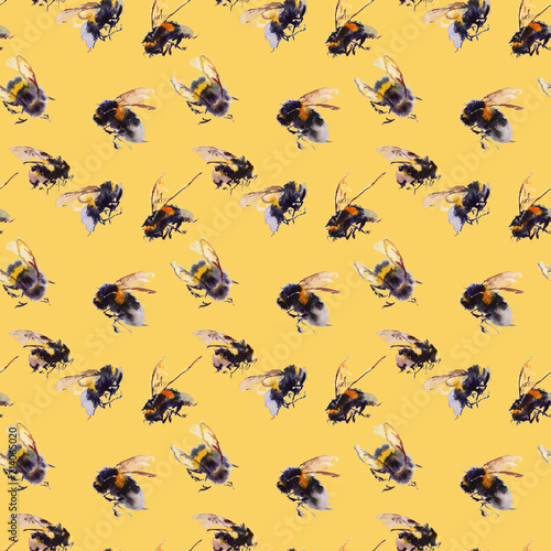 Watercolor bees seamless pattern isolated on white background. hand drawn watercolor illustration © Ekaterina