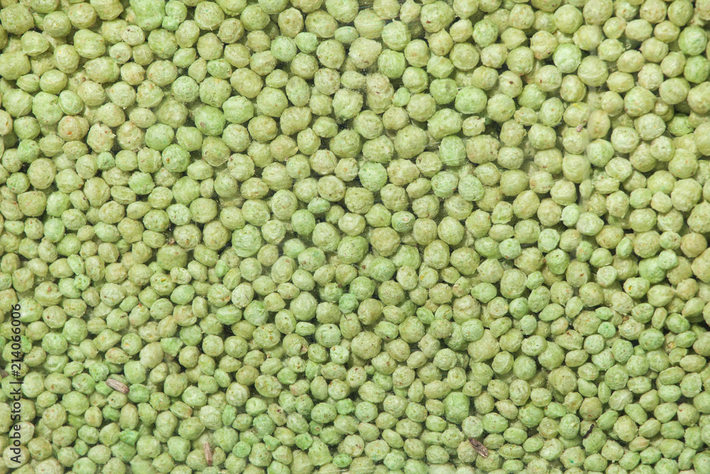 Animal food pellets. Background texture Animal food pellets. Background texture
