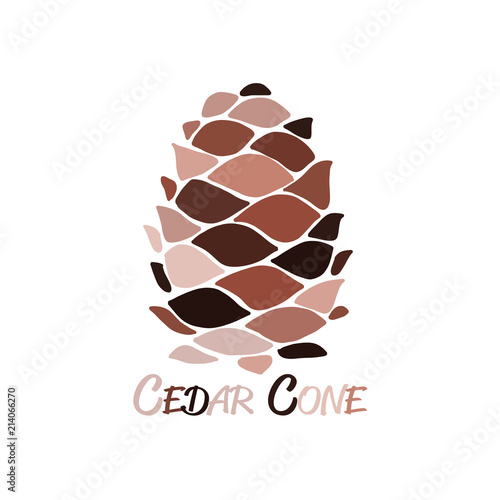 Cedar cone, sketch for your design