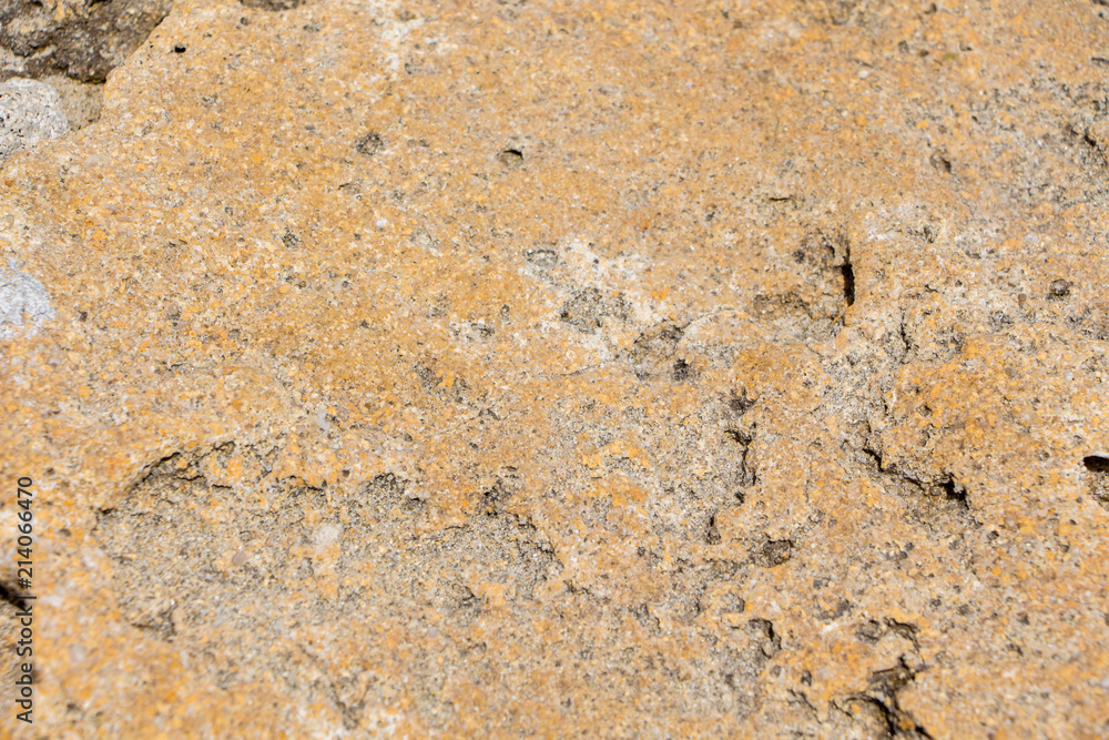 The surface of an old rock with cracks. Old rock texture (wild background) The surface of an old rock with cracks. Old rock texture (wild background)