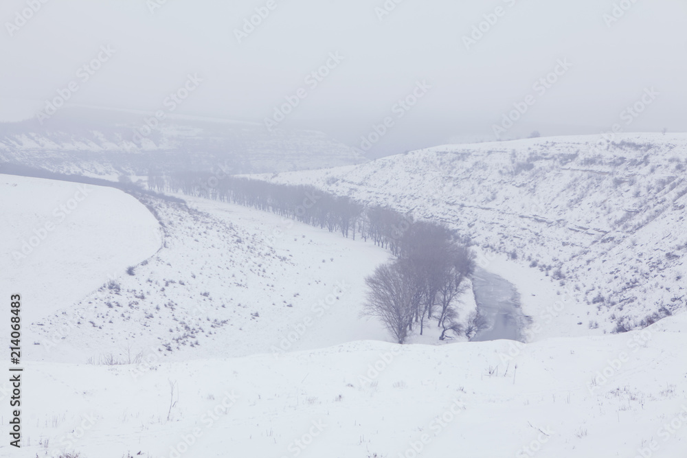 aerial view of winter landscape