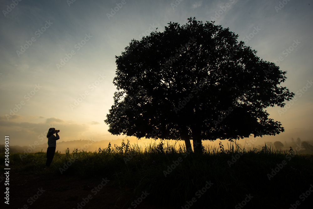 Silhouette of young girl photographing a big tree in the meadow. Morning nature and beautiful sky
