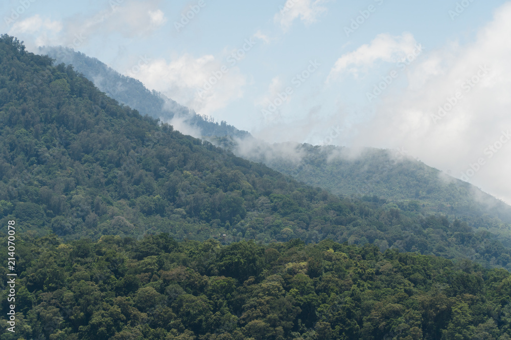 Tops of the mountains covered with forest in clouds and fog. Slopes of the mountains are covered with rainforest Bali, Indonesia. Mountain landscape, sky and clouds. Travel concept
