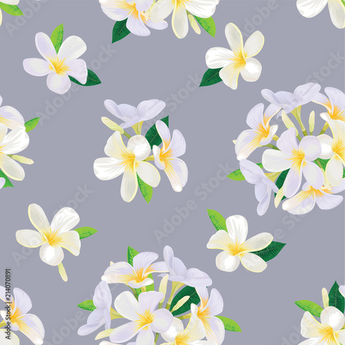 Seamless pattern with tropical plumeria flowers and leaves on grey background. Vector set of exotic tropical floral for wedding invitations and greeting card design.