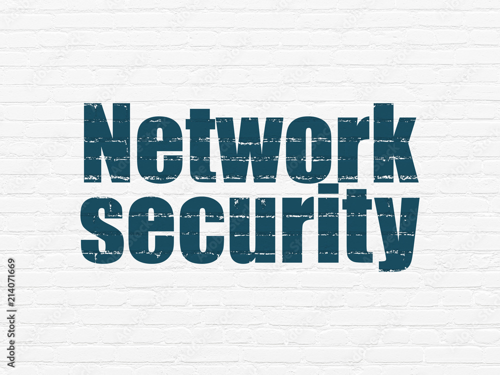 Privacy concept: Painted blue text Network Security on White Brick wall background Privacy concept: Painted blue text Network Security on White Brick wall background