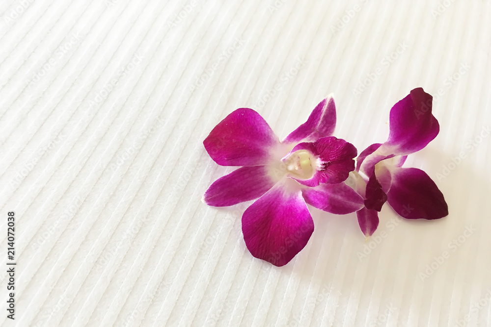 Obraz premium Two Purple red orchids on hotel bed are meaning of welcome and love for honeymoon lover.