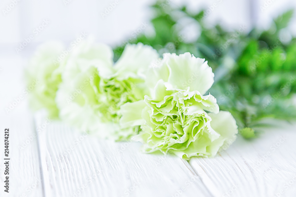 Light green cloves flowers on a white background. Free space Light green cloves flowers on a white background. Free space