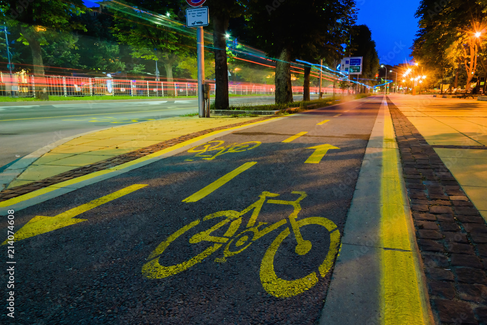 Obraz premium Bike path with signs at night motion