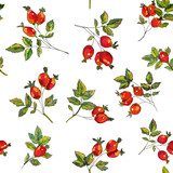 Rosehip seamless pattern for tea. Vector graphic illustration