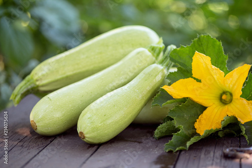 marrow on a wooden background