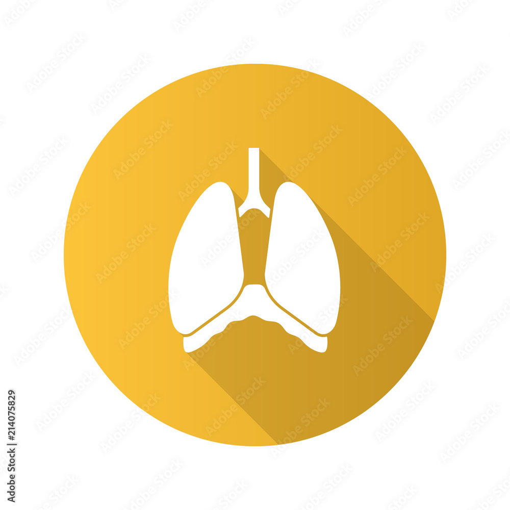 Thoracic cavity flat design long shadow glyph icon Thoracic cavity flat design long shadow glyph icon