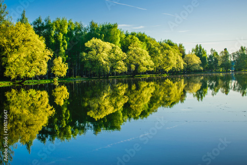 Reflection of trees in the lake of the city Park