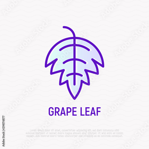 Grape leaf thin line icon. Modern vector illustration for wine logo.