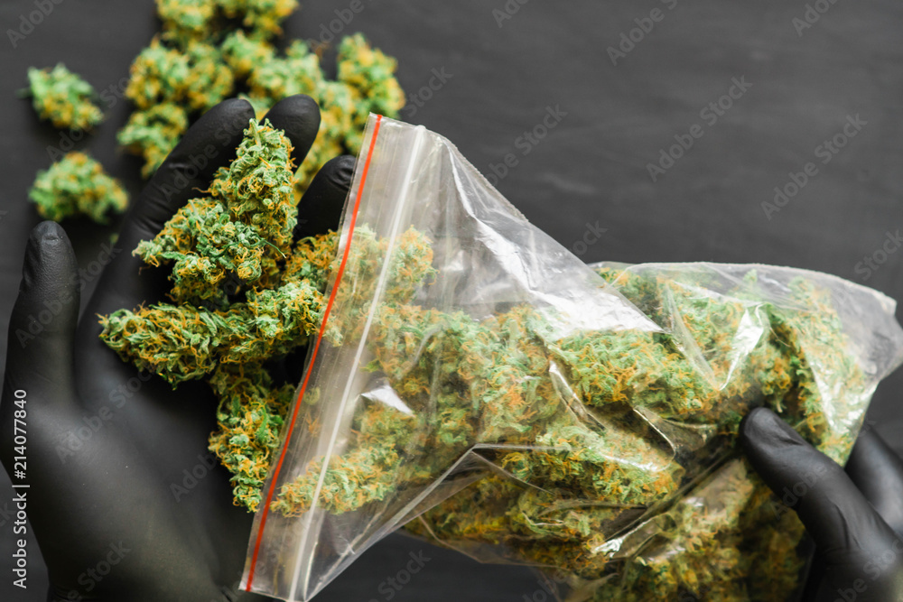 Large Package A lot of marijuana Package with weed and fresh buds