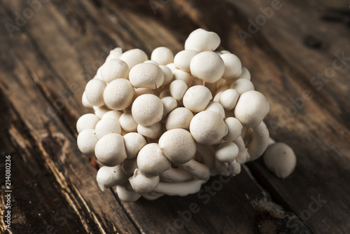 raw japanese bunapi-shimeji mushrooms