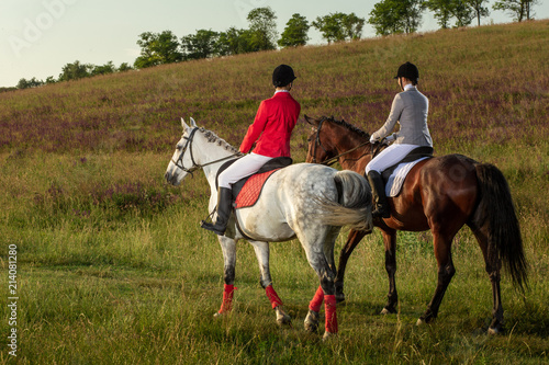 Two young women riding horse in park. Horse walk in summer